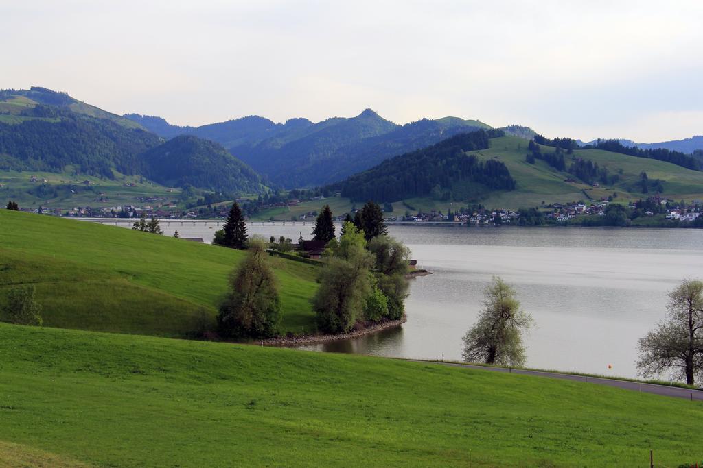 Apartment Ferienhof Am See Einsiedeln Exterior photo