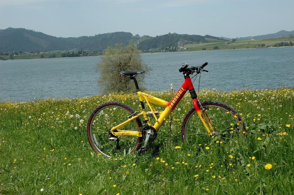 B&B Ferienhof Am See Willerzell Exterior photo