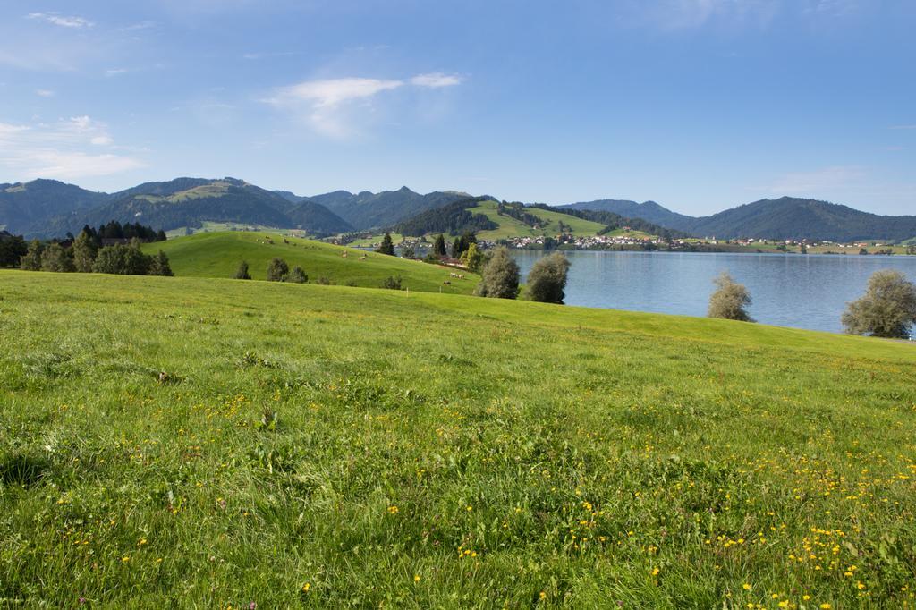 Apartment Ferienhof Am See Einsiedeln Exterior photo